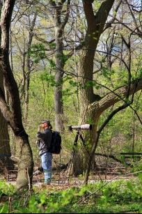nyc central park arrest exposure lewd 245.00