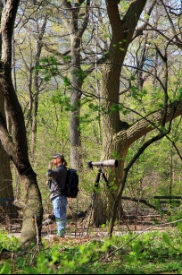 nyc central park arrest exposure lewd 245.00