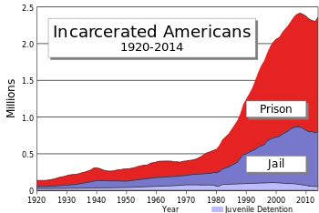 jail outcomes for criminal defendants 